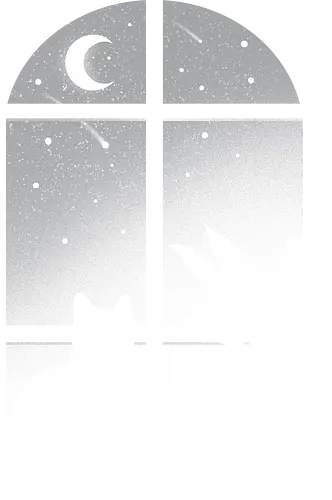 CATastrophic night - cat, katze, fenster, window