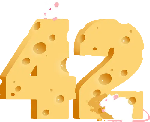 Cheese is the Answer - 42, the answer, die anwort, douglas adams, hgttg, cheese, käse