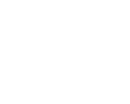 City Wok - serie, South, park, Wok, fun, Asian Fusion