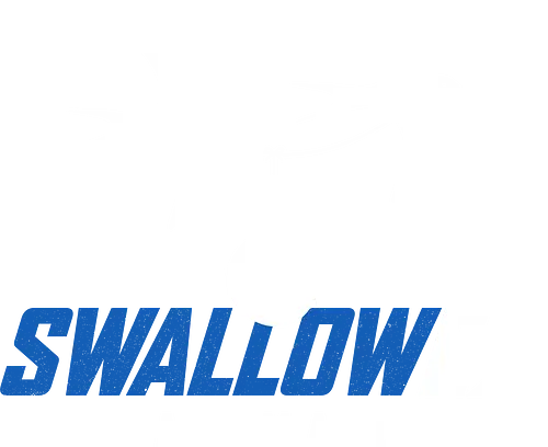 SWALLOW EX Airmail - monty python, holy grail, Schwalbe, Swallow