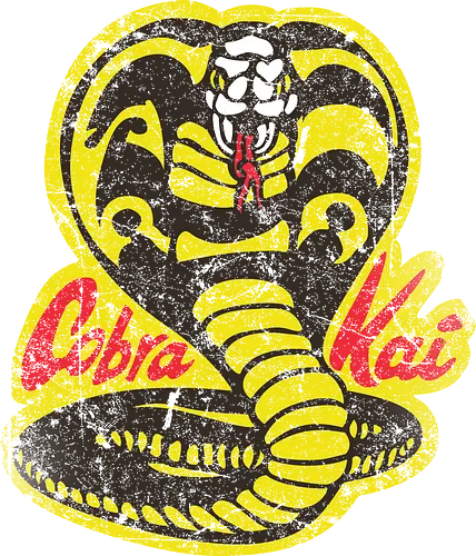 Cobra Kai v2 - karate, myagi, miyagi, kampfsport, martial arts, 80s, 90s, kid, mr.