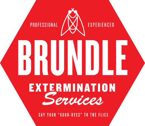 Brundle Extermination - fliege, horror, cronenberg, insekt