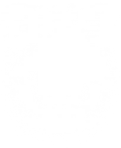 Eagle 5 Eagle 5
