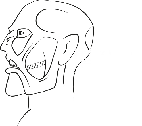 Studio Titan - studio, titan, anime, mashup, fun, meta