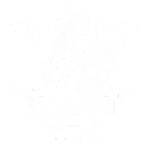 New Order New Order