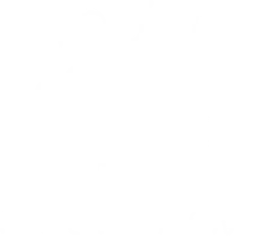 Irrelephant - elephant, elefant, irrelevant, egal