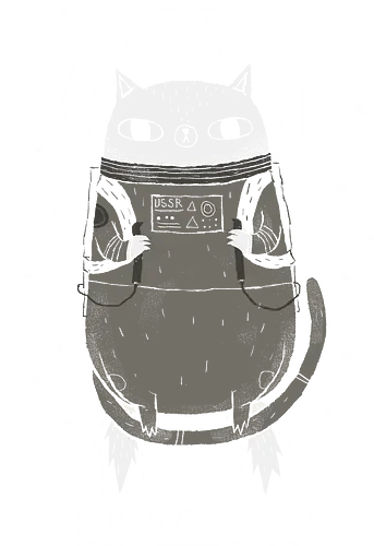 Space Cat