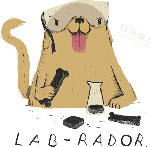 Lab-Rador - hund, labrador, chemie, science, labor, lab, wissenschaft, chemistry, nerd, scientist, süß, cute, tier, dog