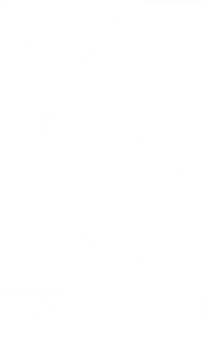 The World - skelett, skeleton, cat, katze, tarot