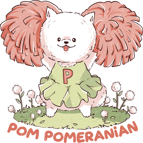 Pom Pomeranian - pom pom, pomeranian, dog, cute, hund