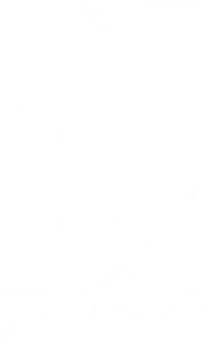 The Lovers - love, liebende, tarot, skelett, skeleton