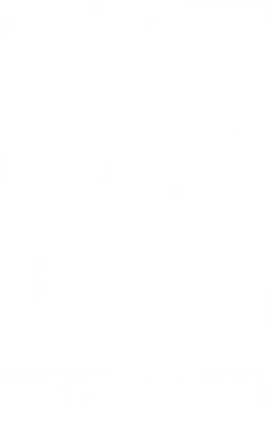 The Moon - moon, mond, tarot, skeleton, skelett