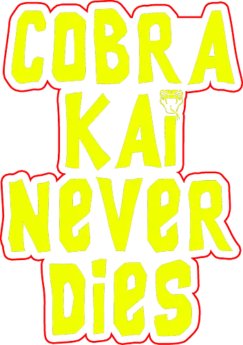 Cobra Goones - serie, cobrai kai, wax on wax off, karate kid