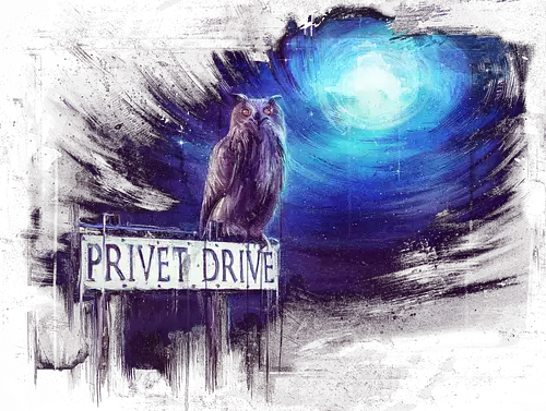 Privet Drive - owl, eule, magic, wizard, hexe, Zauber