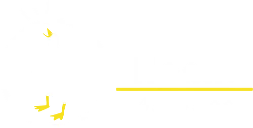 Honk Airlines - dodo, animal, Crossing, Honk, goose, Untitled Goose Game, mashup