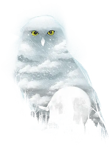 Magical Winter - owl, eule, schneeeule, harry, castle, hexe, magier, wizard