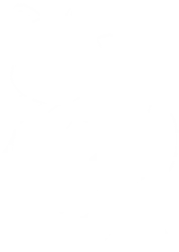 Piracat - pirate, cat, kitty, skull