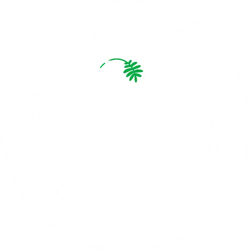 Peace - Dove, peace