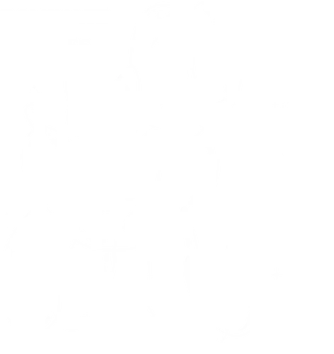 Dominate your enemies - cat, balloon, dog, Relationship Dominate your enemies - cat, balloon, dog, Relationship