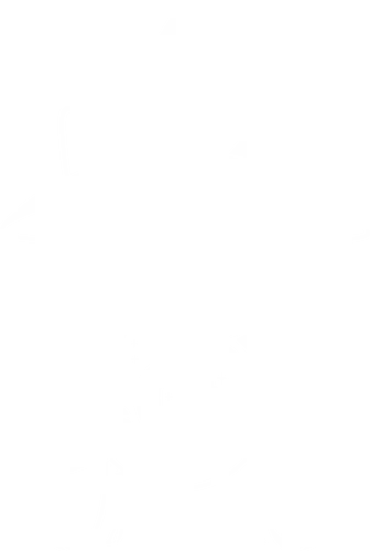 Magicat - cat, witch, witchcraft, magic