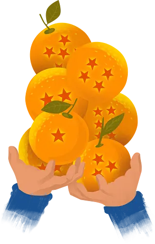 Dragon Citrus - dragon, ball, shenlong, Wunsch, anime, manga Dragon Citrus - dragon, ball, shenlong, Wunsch, anime, manga