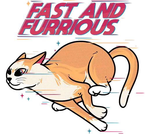 Fast and Furrrious - cat, katze, neko, fast, fun, mashup