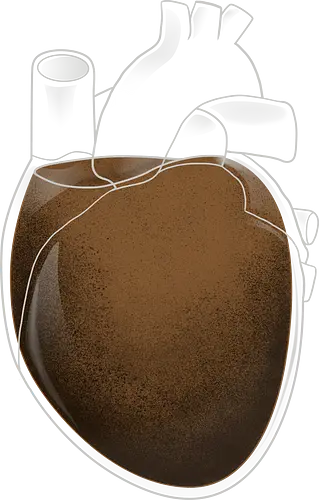 Coffee Heart - heart, anatomical heart, coffee, herz, kaffee Coffee Heart - heart, anatomical heart, coffee, herz, kaffee