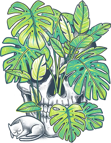 Plant Skull - plants, skull, schädel, monstera, katze, cat