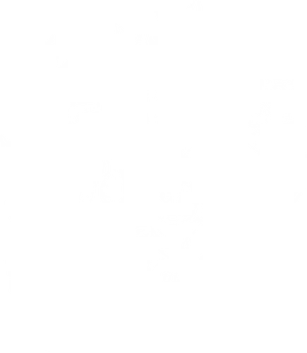 Lucky 13 - skeleton, skull, schädel, katze, cat