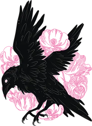 Raven - rabe, kolkrabe, raven, corvus corax, crow, krähe, animal, tier