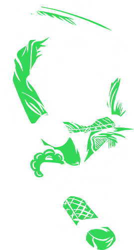 Pirate Hunter - piece, pirate, anime, manga, Zoro