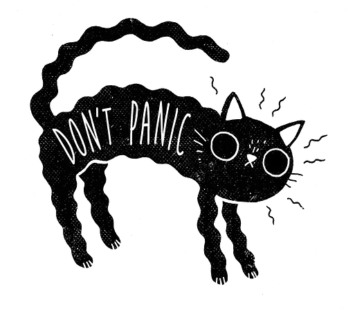 Don't Panic - cat, katze, neko, don't panic, Panic