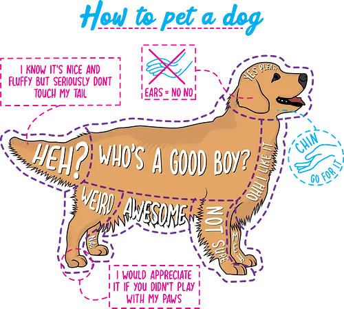 How to pet a dog - dog, doggo, puppy, good boy, hund, pet, haustier