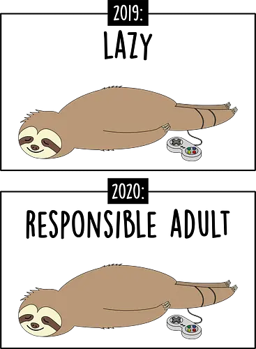 2020 responsible adult - Corona, meme, fun, lazy, Responsible Adult, sloth 2020 responsible adult - Corona, meme, fun, lazy, Responsible Adult, sloth