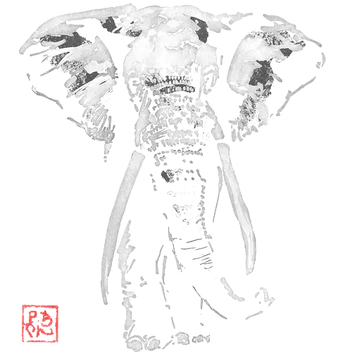 elephant - elefant