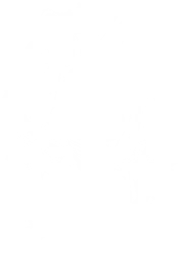 Cute Dark Gothic Rabbit - bunny, skeleton