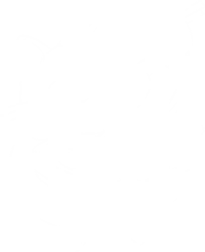 Ramen Cat Line Art - ramen, cat, food, noodle soup