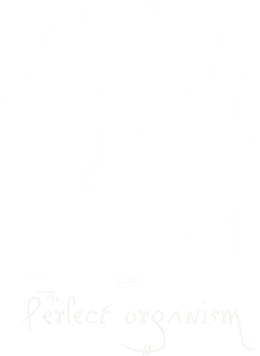 Perfect Organism - vitruvian man, alien, perfect, horror