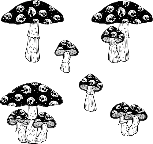 Ddly mushrooms - mushroom, pilz, skull