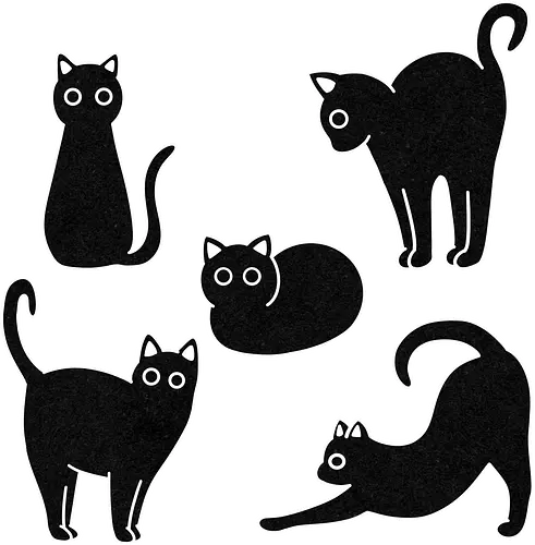 Black cat poses - Cats, katze