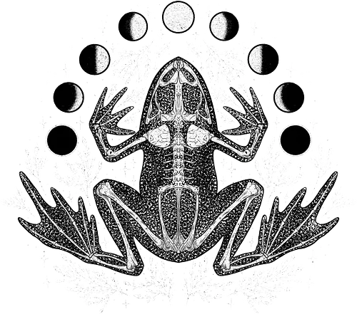 Botanical skeleton Frog - Frog, Frosch, witch, moon, moonphase