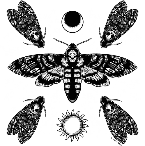 Death Moth - moth, Motte, witch