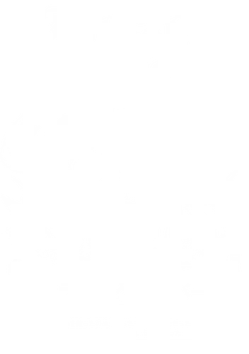 Demon Skull - black, Clover, demon skull, anime, manga