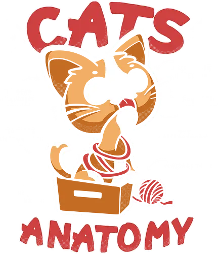 Cats Anatomy - katze, cute, anatomie