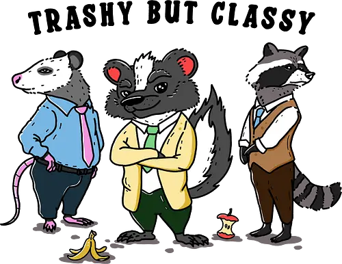 Trashy but Classy - opossum, raccoon