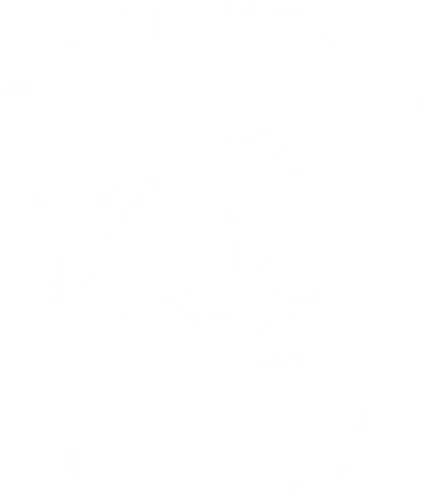 Sons Of Siesta - kanto, Poke, sleep, anarchy, crossover