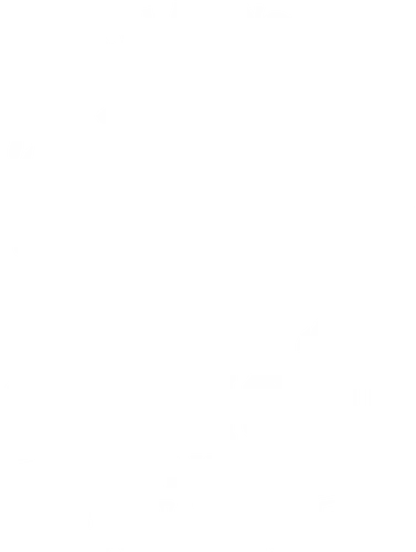 Critical Hit College - crit, w20, dungeon, dragon, pen and paper, rpg