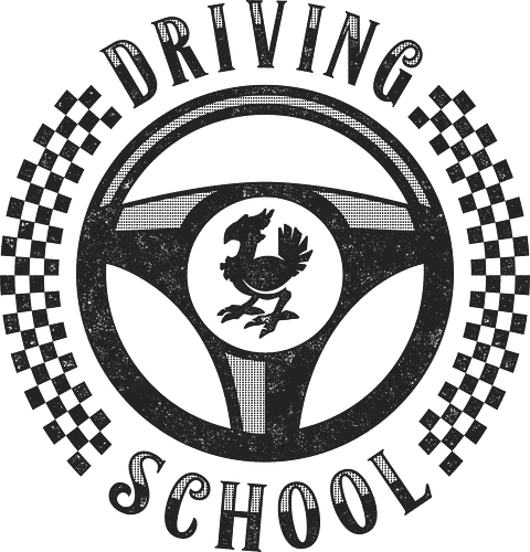 Kweh Driving School - racing, bird, gaming, final, fantasy