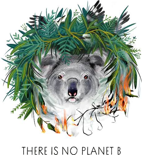 No Planet B - klimaschutz, koala